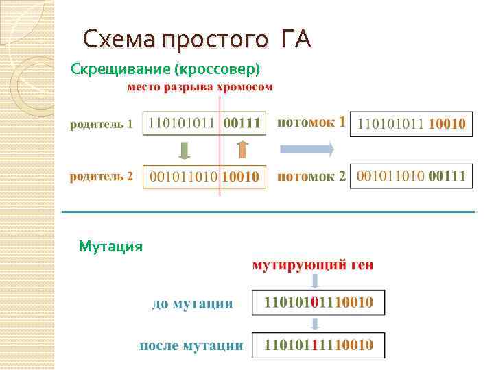 Схема простого ГА Скрещивание (кроссовер) Мутация 