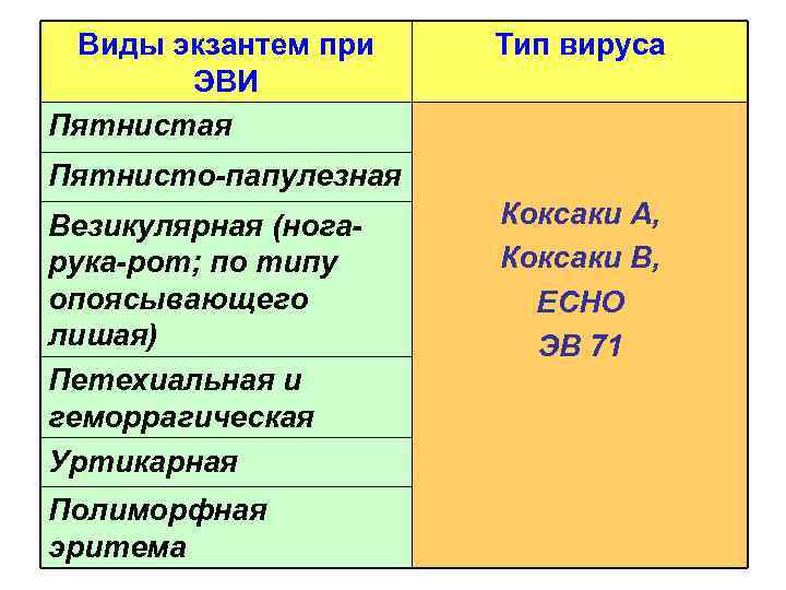 Виды экзантем при ЭВИ Пятнистая Тип вируса Пятнисто-папулезная Везикулярная (ногарука-рот; по типу опоясывающего лишая)