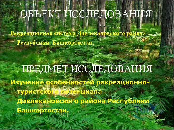 ОБЪЕКТ ИССЛЕДОВАНИЯ Рекреационная система Давлекановского района Республики Башкортостан. ПРЕДМЕТ ИССЛЕДОВАНИЯ Изучение особенностей рекреационнотуристского потенциала