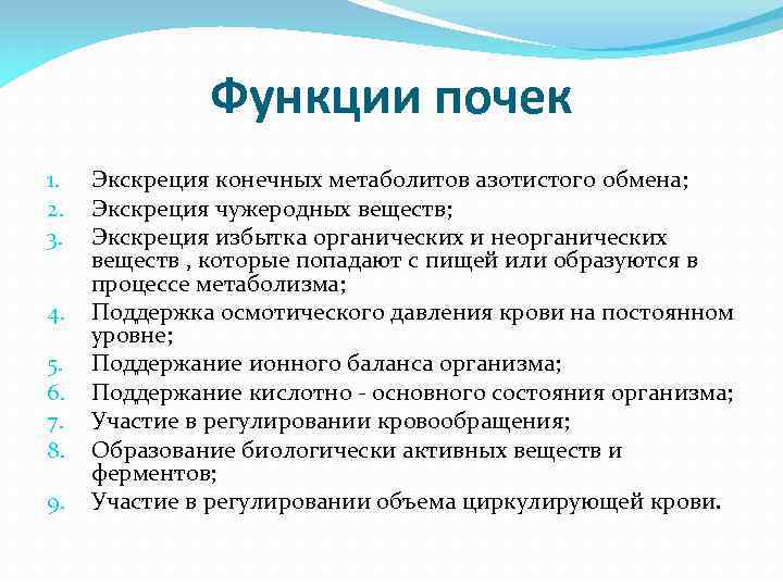 Функции почек 1. 2. 3. 4. 5. 6. 7. 8. 9. Экскреция конечных метаболитов