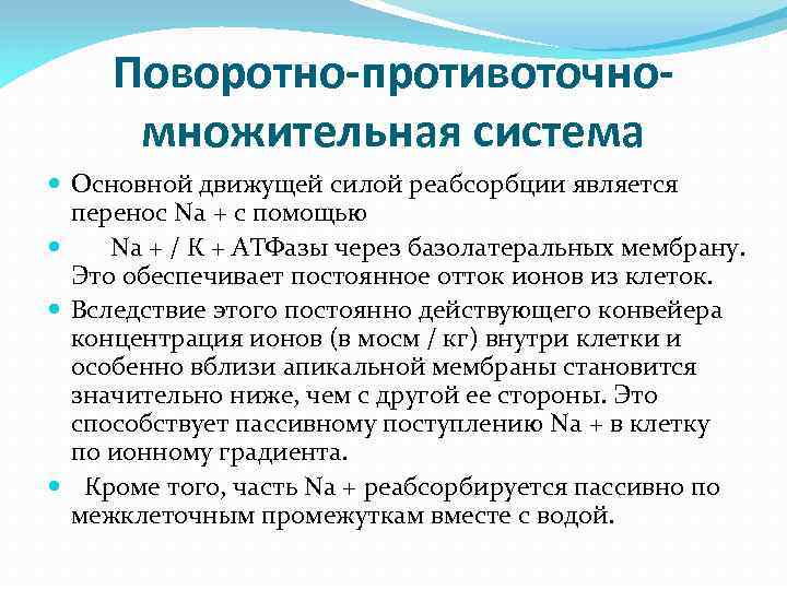 Схема поворотно противоточной множительной системы почек