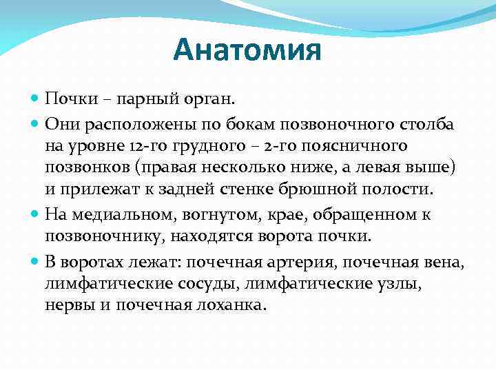 Анатомия Почки – парный орган. Они расположены по бокам позвоночного столба на уровне 12
