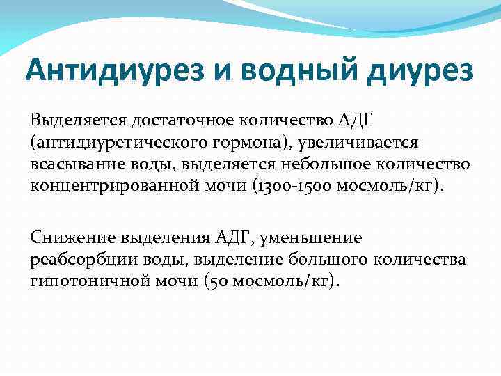 Диурез увеличивается при. Антидиурез. Водный диурез. Водный диурез и антидиурез. Осмотический диурез.