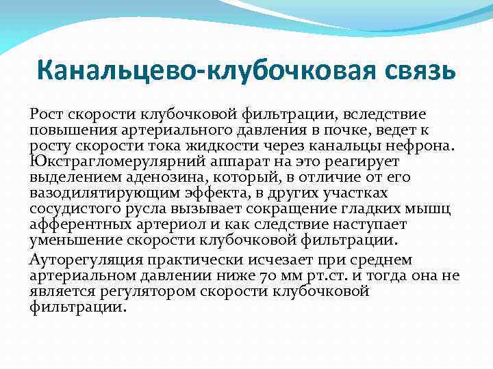 Канальцево-клубочковая связь Рост скорости клубочковой фильтрации, вследствие повышения артериального давления в почке, ведет к