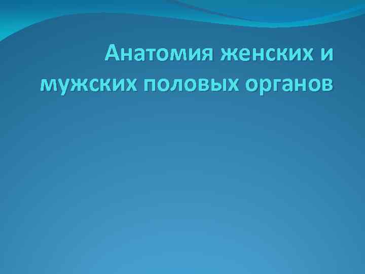 Анатомия женских и мужских половых органов 