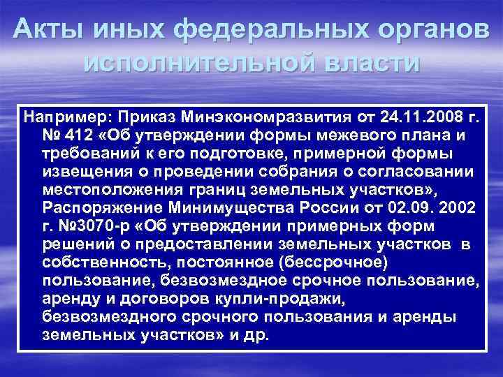 Акты иных федеральных органов исполнительной власти Например: Приказ Минэкономразвития от 24. 11. 2008 г.