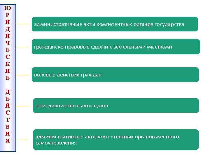 Ю Р И Д И Ч Е С К И Е Д Е Й