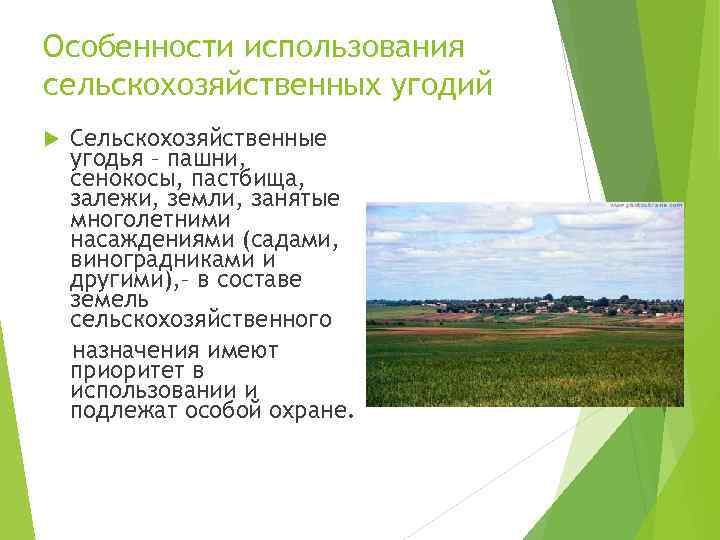 Особенности использования сельскохозяйственных угодий Сельскохозяйственные угодья – пашни, сенокосы, пастбища, залежи, земли, занятые многолетними