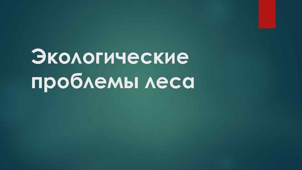 Экологические проблемы леса 