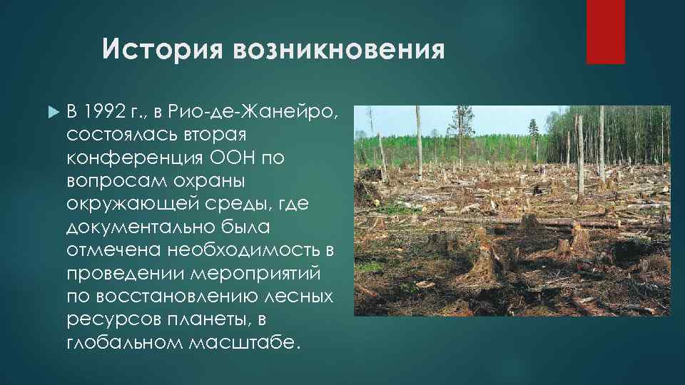 История возникновения В 1992 г. , в Рио-де-Жанейро, состоялась вторая конференция ООН по вопросам