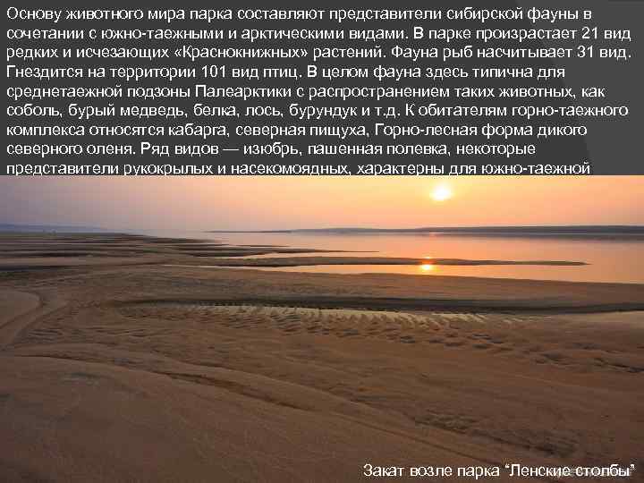 Основу животного мира парка составляют представители сибирской фауны в сочетании с южно-таежными и арктическими