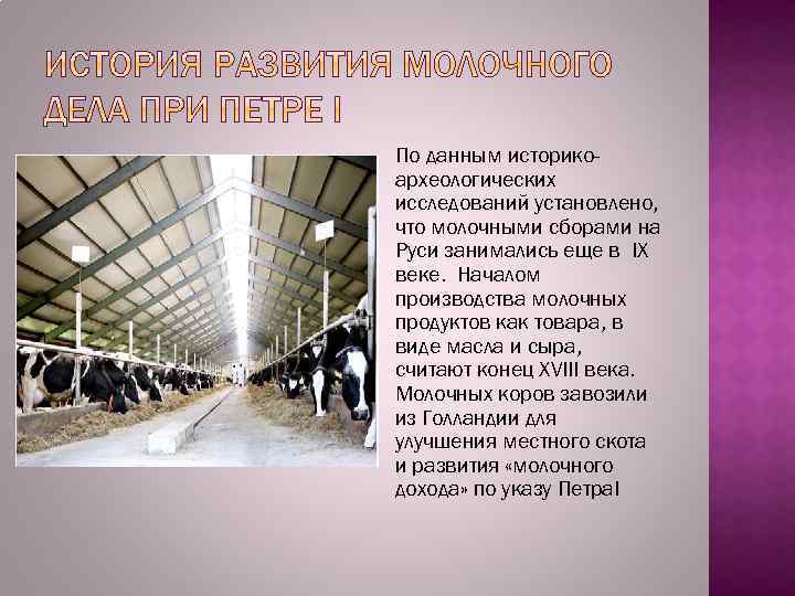 По данным историкоархеологических исследований установлено, что молочными сборами на Руси занимались еще в IX