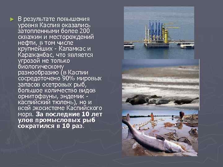 ► В результате повышения уровня Каспия оказались затопленными более 200 скважин и месторождений нефти,