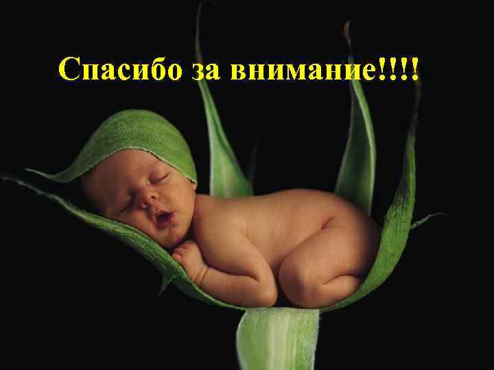 Спасибо за внимание!!!! 
