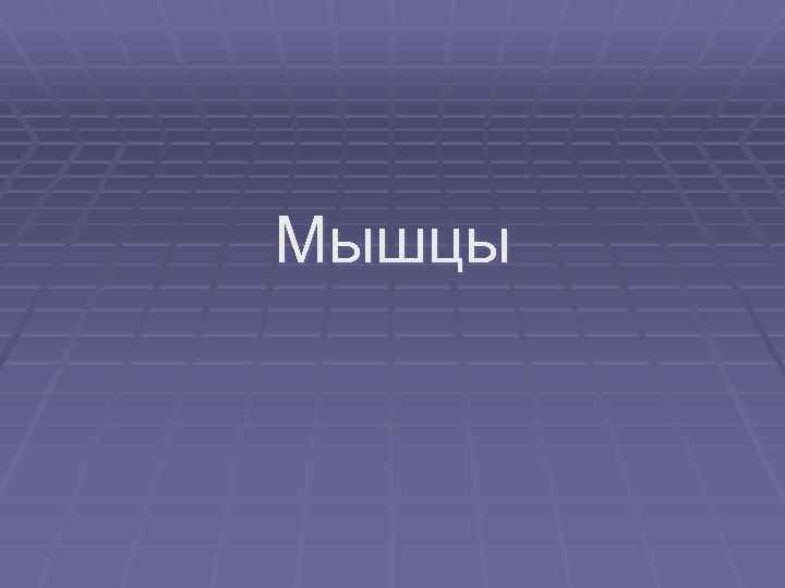 Мышцы 