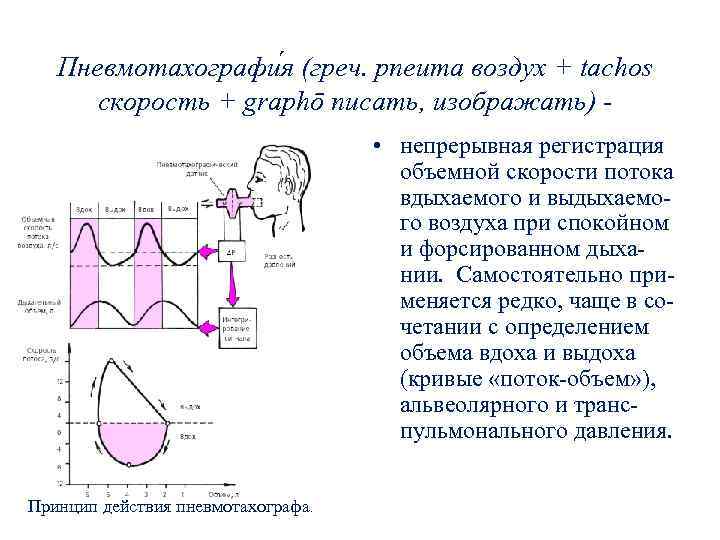 Пневмотахографи я (греч. pneuma воздух + tachos скорость + graphō писать, изображать) • непрерывная
