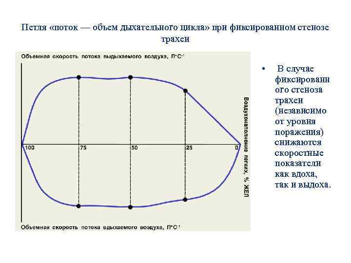 Объемная скорость выдоха