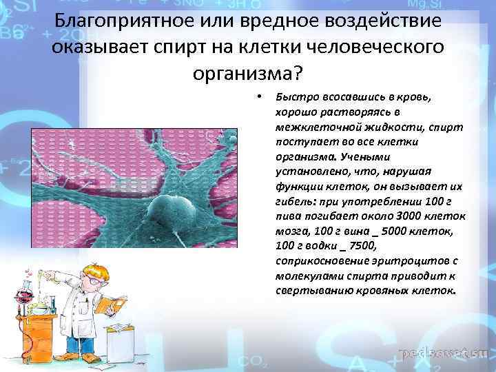 Благоприятное или вредное воздействие оказывает спирт на клетки человеческого организма? • Быстро всосавшись в