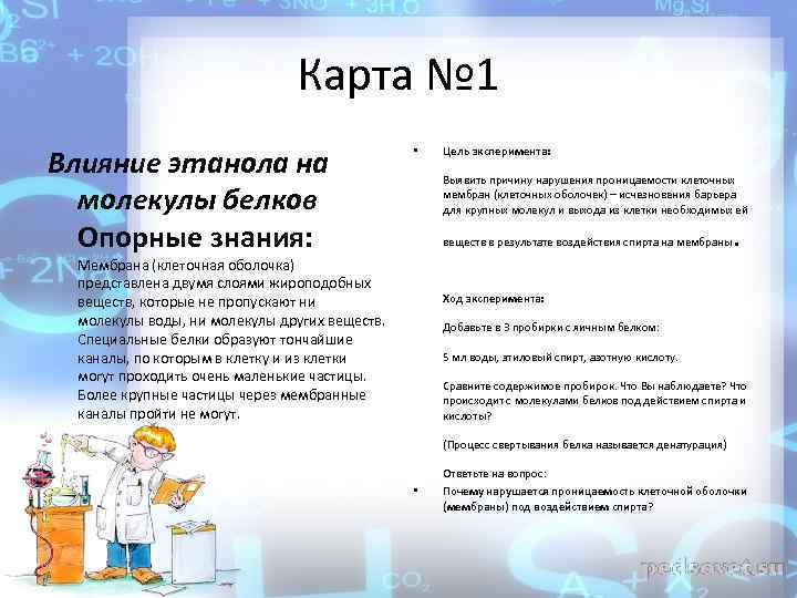 Карта № 1 Влияние этанола на молекулы белков Опорные знания: • Цель эксперимента: Выявить