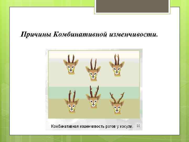 Причины изменчивости. Комбинативная изменчивость генетика. Комбинативная изменчивость причины возникновения. Фактор возникновения комбинативной изменчивости. Комбинативная причины.