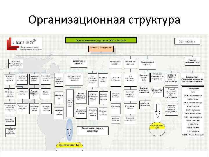 Организационная структура 