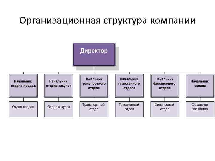 Организационная структура компании 