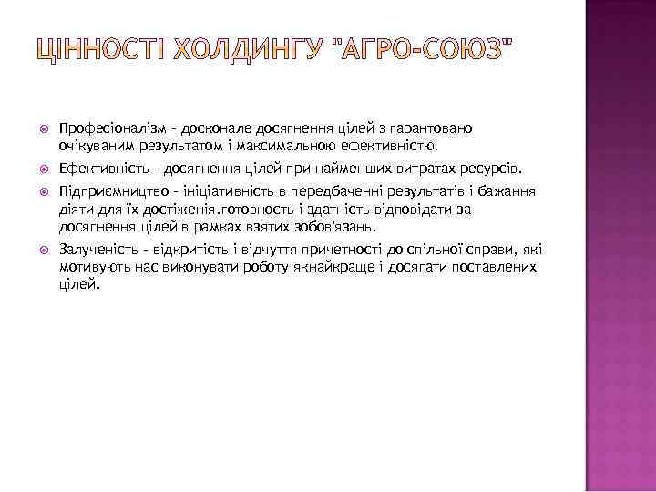  Професіоналізм - досконале досягнення цілей з гарантовано очікуваним результатом і максимальною ефективністю. Ефективність