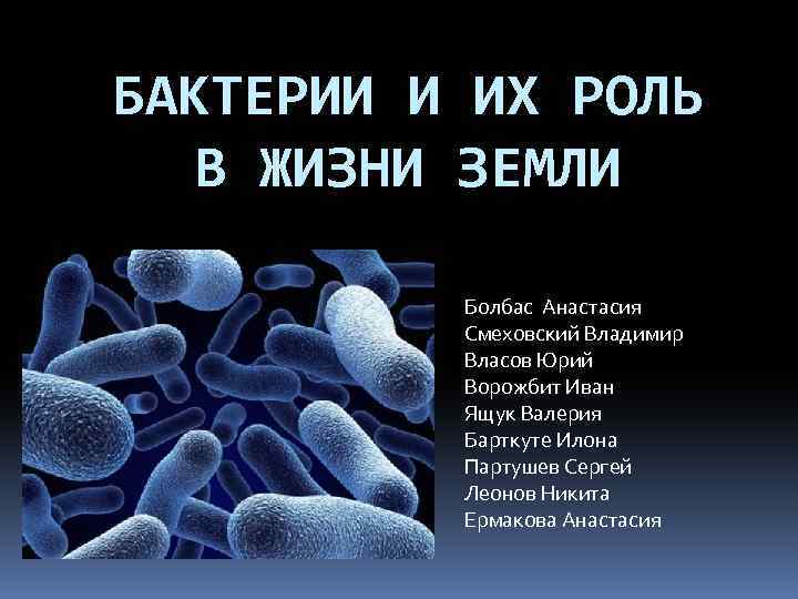 Сообщение по биологии бактерии. Доклад о бактериях. Сочинение про бактерии. Бактерии презентация. Роль бактерий.