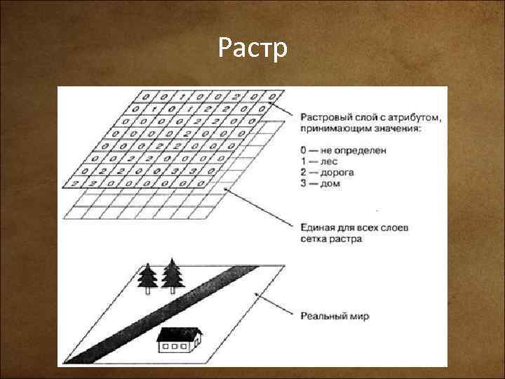 Элементарной единицей изображения в растровой модели данных является