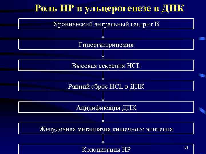 Роль НР в ульцерогенезе в ДПК Хронический антральный гастрит В Гипергастринемия Высокая секреция НСL