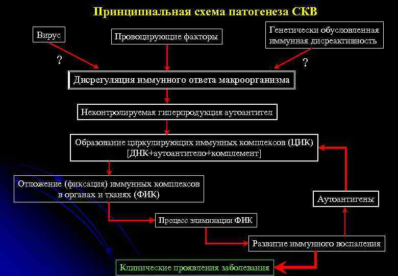 Схема механизмов развития висцеропатической стадии тиреотоксикоза