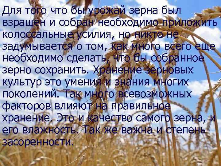 Для того что бы урожай зерна был взращен и собран необходимо приложить колоссальные усилия,