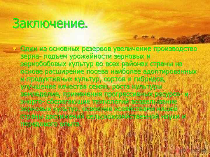 Заключение. • Один из основных резервов увеличение производство зерна подъем урожайности зерновых и зернобобовых