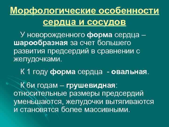 Морфологические особенности сердца и сосудов У новорожденного форма сердца – шарообразная за счет большего