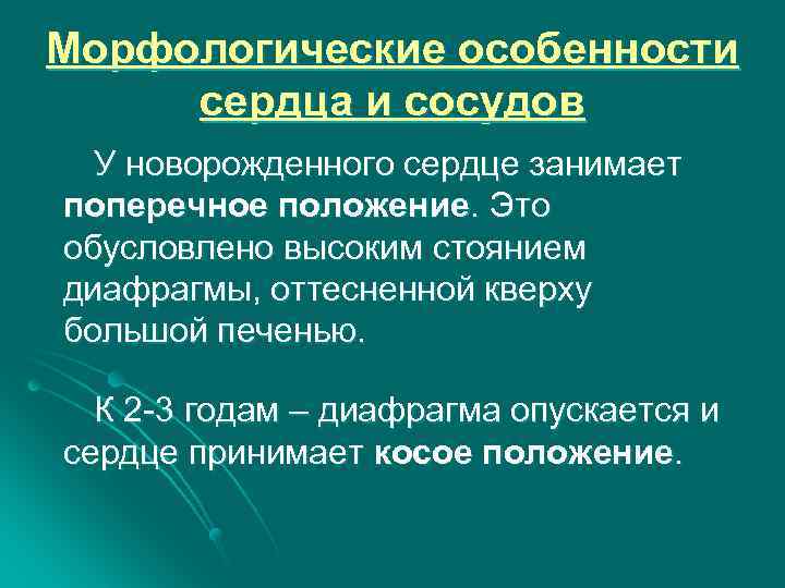 Морфологические особенности сердца и сосудов У новорожденного сердце занимает поперечное положение. Это обусловлено высоким