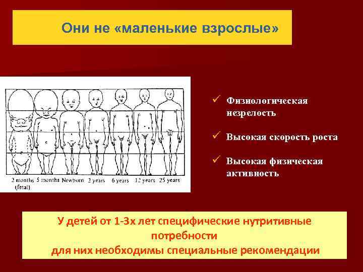 Они не «маленькие взрослые» ü Физиологическая незрелость ü Высокая скорость роста ü Высокая физическая