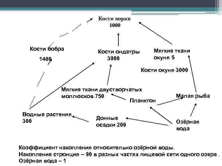 Кости норки 1000 Кости бобра 1400 Кости ондатры 3900 Мягкие ткани окуня 5 Кости