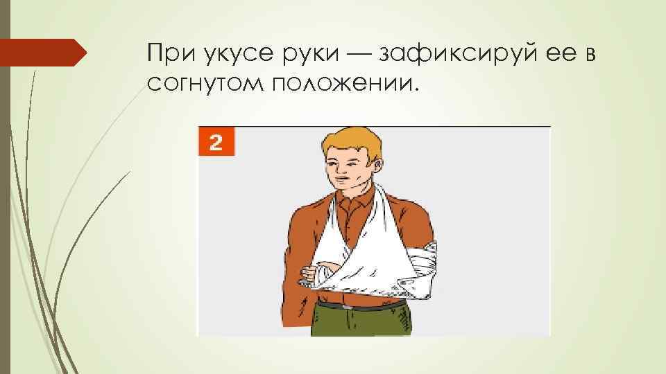 При укусе руки — зафиксируй ее в согнутом положении. 