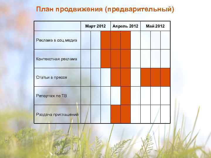 План продвижения (предварительный) Март 2012 Реклама в соц. медиа Контекстная реклама Статьи в прессе