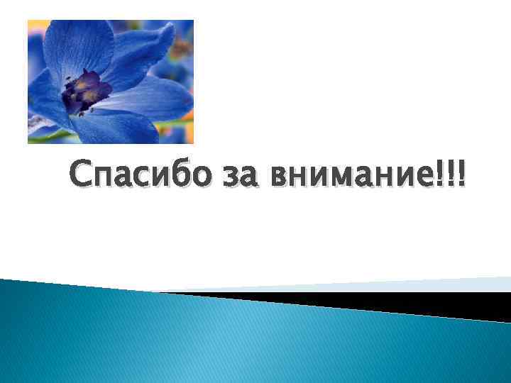 Спасибо за внимание!!! 