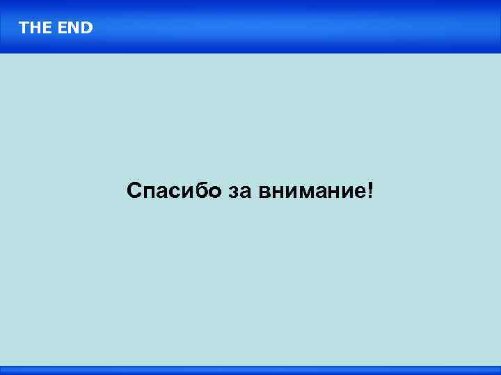 THE END Спасибо за внимание! 