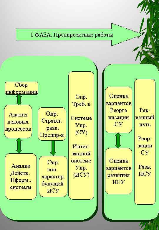 1 ФАЗА. Предпроектные работы Сбор информации Анализ деловых процессов Анализ Действ. Нформ. . системы