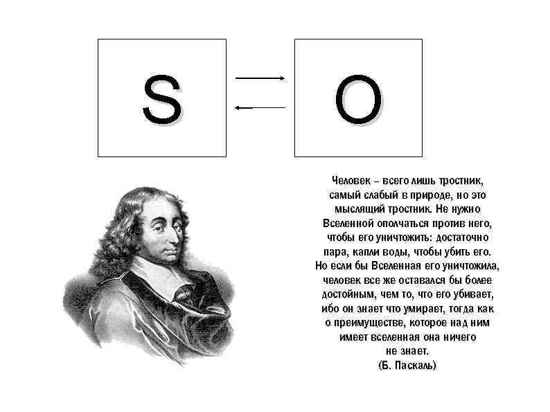 S O Человек – всего лишь тростник, самый слабый в природе, но это мыслящий