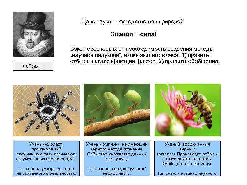 Цель науки – господство над природой Знание – сила! Ф. Бэкон обосновывает необходимость введения