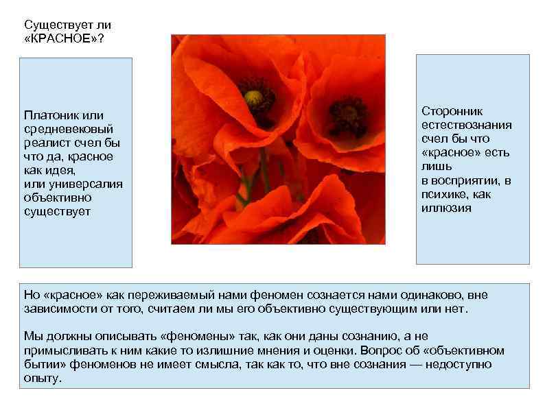 Существует ли «КРАСНОЕ» ? Платоник или средневековый реалист счел бы что да, красное как