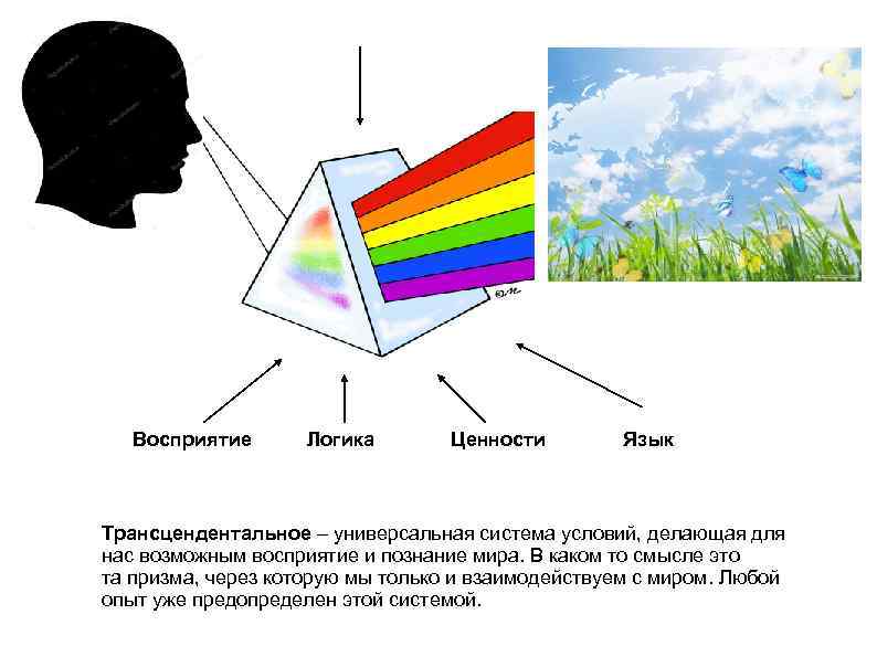 Восприятие Логика Ценности Язык Трансцендентальное – универсальная система условий, делающая для нас возможным восприятие