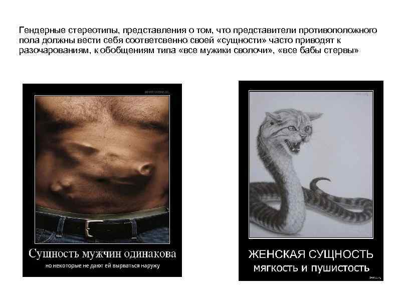 Гендерные стереотипы, представления о том, что представители противоположного пола должны вести себя соответсвенно своей