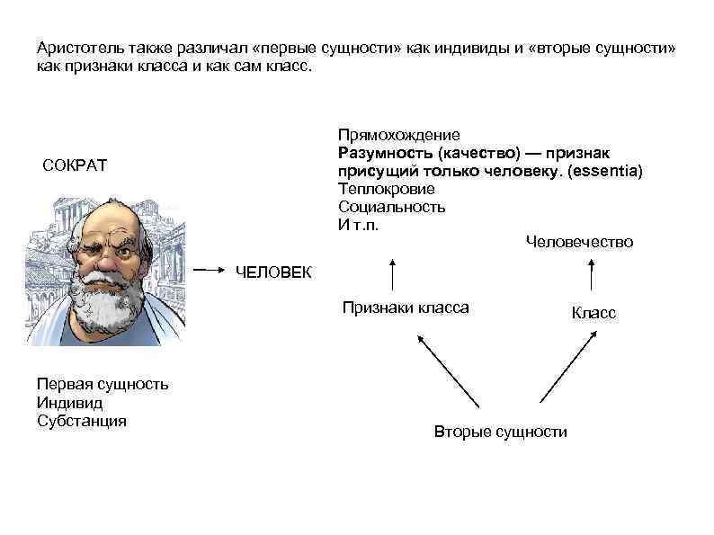 Аристотель также различал «первые сущности» как индивиды и «вторые сущности» как признаки класса и
