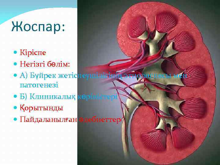 Жоспар: Кіріспе Негізгі бөлім: А) Бүйрек жетіспеушілігінің этиологиясы мен патогенезі Б) Клиникалық көріністері Қорытынды