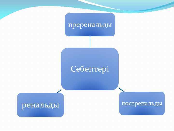 преренальды Себептері ренальды постренальды 